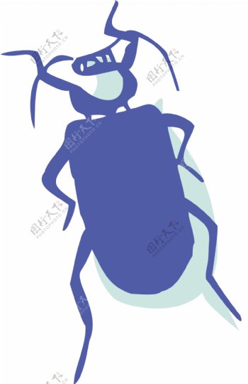 甲虫甲壳虫图片