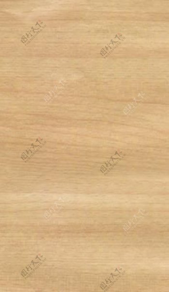 榉木3木纹木纹板材木质