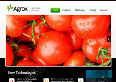 绿色水果蔬菜农业产品企业网页模板