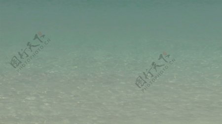 清澈的水在洋岛2股票的录像