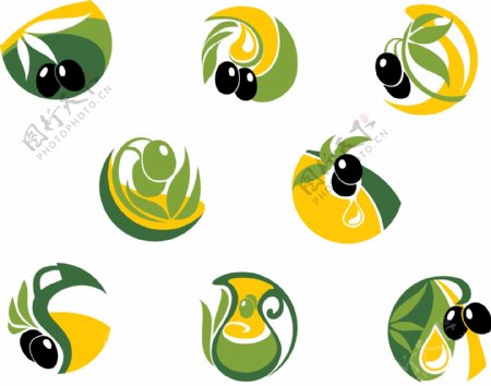 橄榄橄榄油图标图片