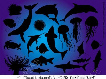 海洋生物鱼类剪影矢量图