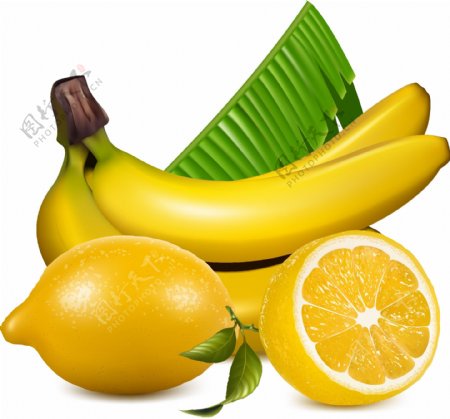 香蕉柠檬水果矢量图