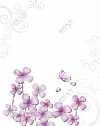 紫情花