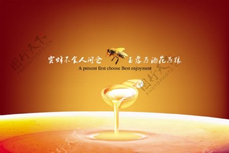 蜂蜜宣传海报设计