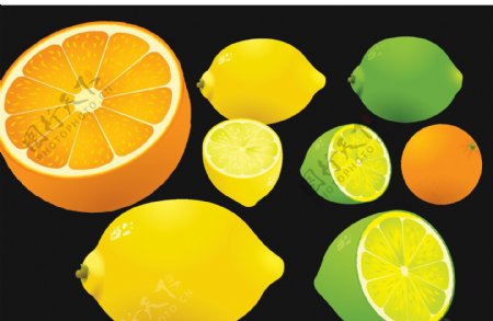 水果素材橘子素材矢量素材