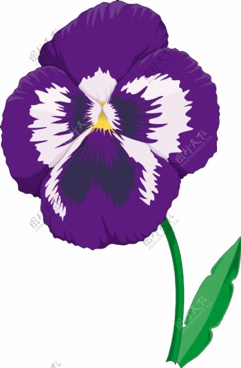 春天里的一朵花1紫