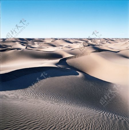 萨哈沙漠高清图片