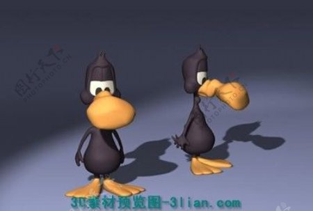 3D大嘴鸟模型