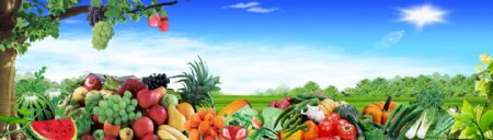水果蔬菜园图片