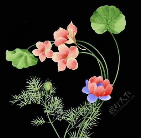 韩国手绘花卉PSD素材5