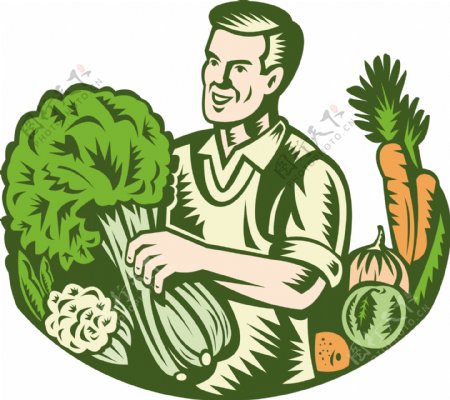 有机农民绿色食品蔬菜复古