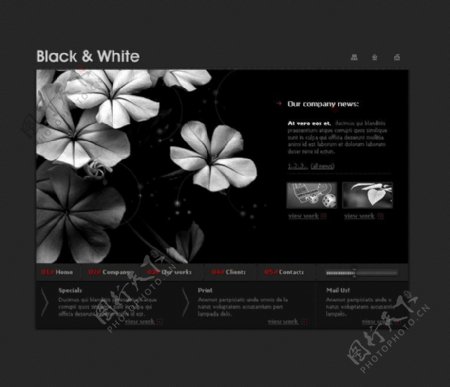 时尚黑白风格网站psd模板