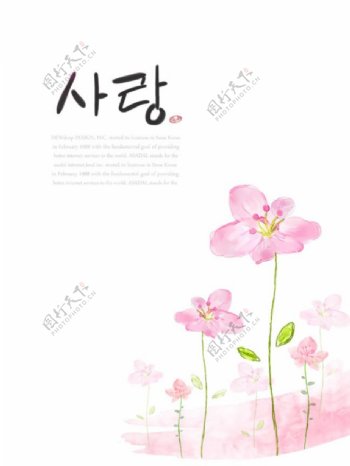 韩国水彩花卉背景