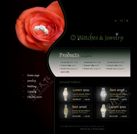 精美的欧美珠宝网页设计模板六图片