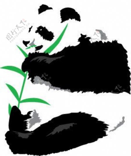 熊猫竹叶黑白熊猫