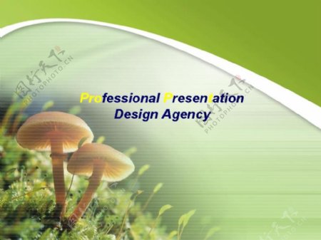菌类植物蘑菇PPT幻灯片