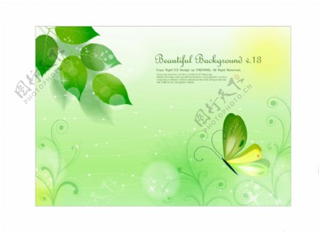蝴蝶花朵绿叶图案背景设计矢量素材2