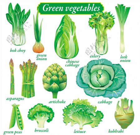绿色蔬菜青菜白菜