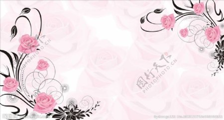 浪漫粉红玫瑰装饰墙画图片