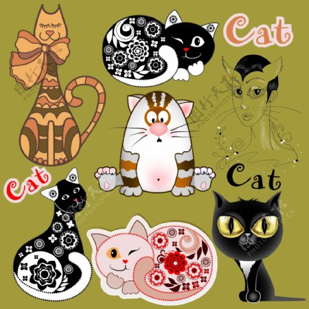 小猫猫咪宠物CAT图片