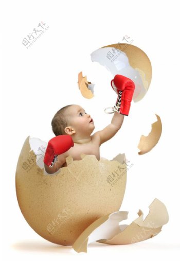 蛋壳中拳击的婴儿宝宝图片