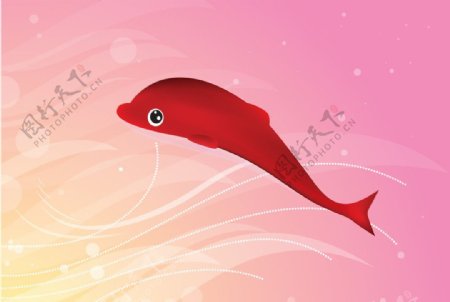 红色小海豚图片
