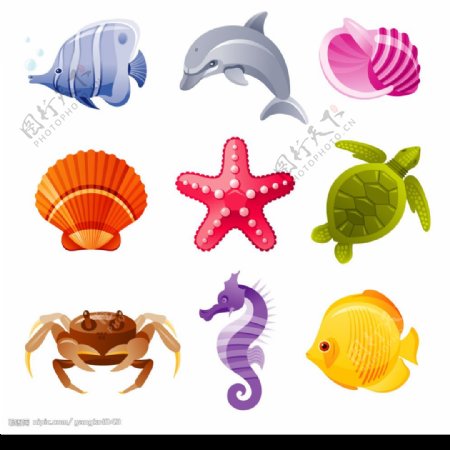 海洋动物矢量图图片
