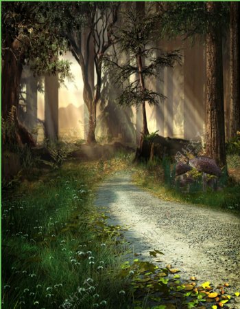 梦幻森林童话世界林间小路图片
