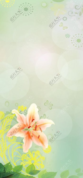 绿色清新百合花易拉宝背景图片