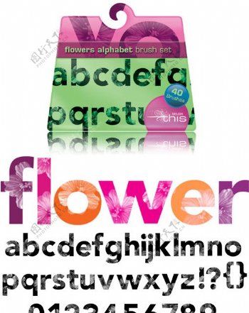 字母数字符号花朵笔刷