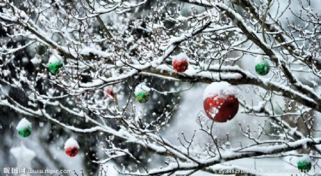 雪树圣诞球图片