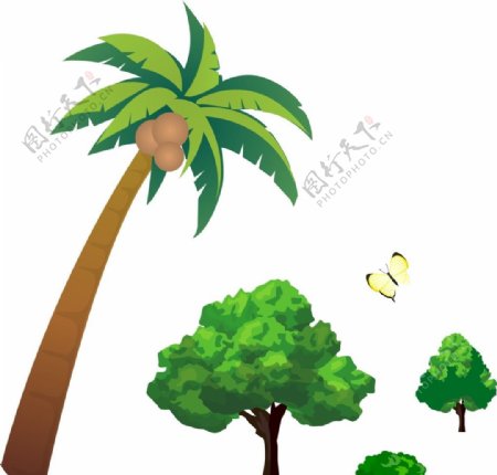 矢量椰子树树木图片