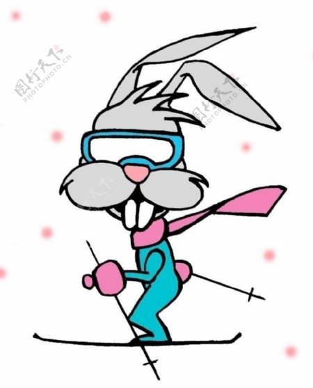 滑雪兔子图片