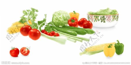 蔬菜花片图片