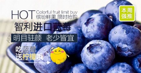 蓝莓广告图片