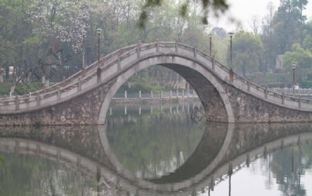 公园小桥图片