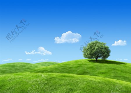 蓝天草原绿树图片