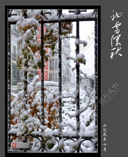 雪北国风光第一场雪北京街道行人图片