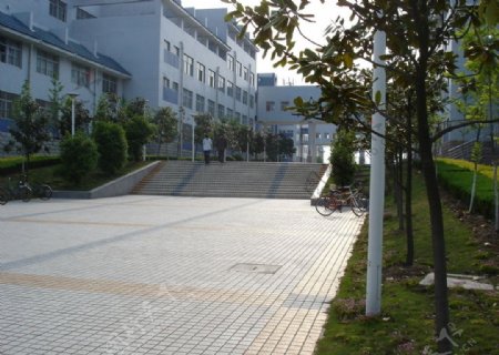 大学校园景观图片