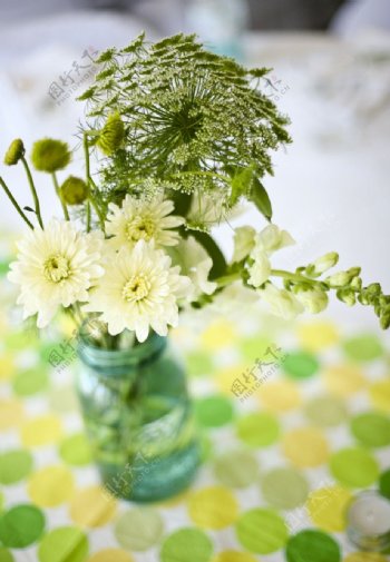 花艺插花鲜花菊花桌布圆点黄绿色调冷调图片