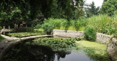 成都活水公园净化池之五图片