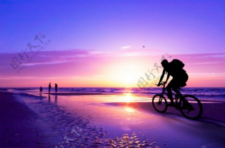 夕阳单车图片