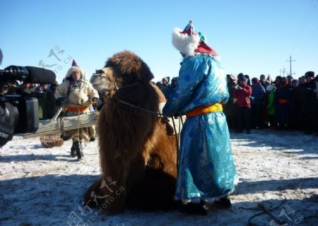 内蒙古正蓝旗冬季那达图片