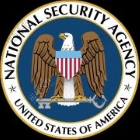 美国国家安全局标志图片