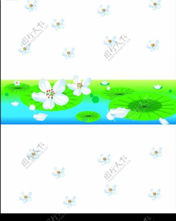 荷叶花瓣水背景图片