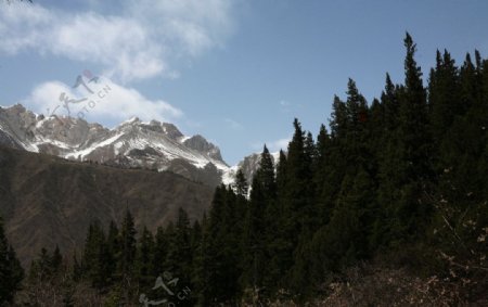 黄龙雪山图片