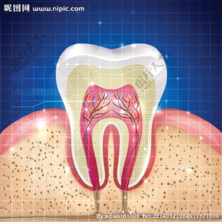 牙齿牙医牙科口腔图片
