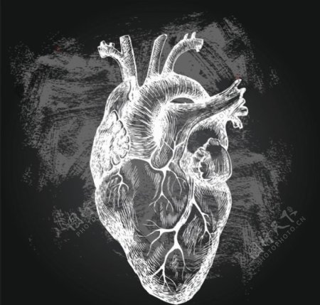 医疗心脏背景图片