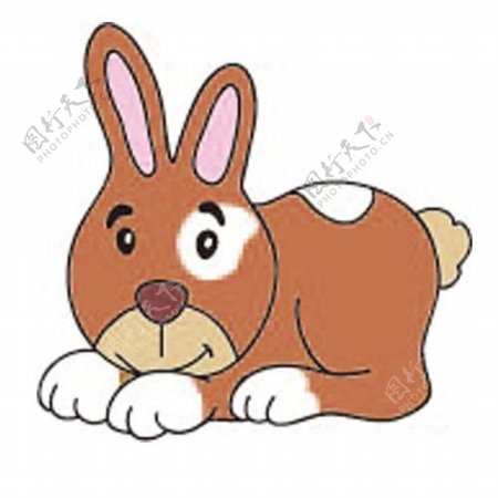 可爱的兔子设计图片